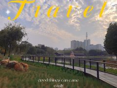 -映月湖公园