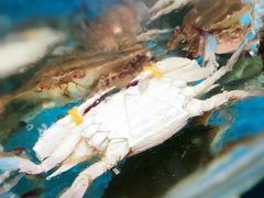 大堂-晓伟海鲜家常菜