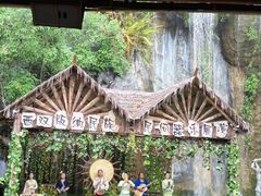 -西双版纳原始森林公园