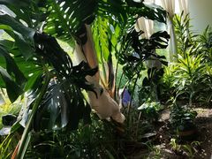 -太守宴·蘭院(天塔店)