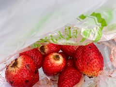 -雪儿钱局泡菜