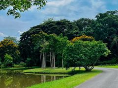 -中国科学院西双版纳热带植物园