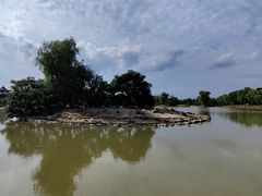 -盐城丹顶鹤湿地生态旅游区