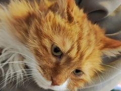 -平行世界·猫咖(首经贸店)