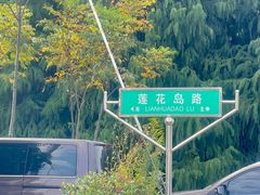 -莲花岛景区