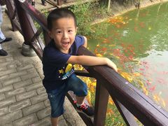 -武汉紫薇都市田园