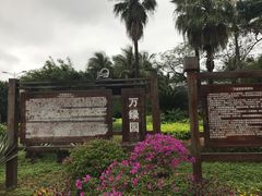 -万绿园