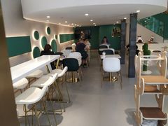 大堂-飞行喵MR PILOT|猫舍·猫咖(静安大融城店)