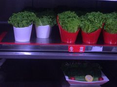 自助取餐区-清真军邺·金富苑肥牛(石坡街旗舰店)