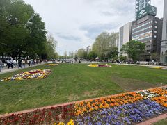 -大通公园