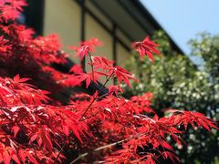 -品渔味湖鲜馆(拈花湾店)
