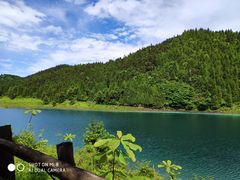 -武陵山森林公园