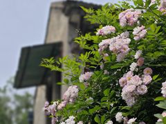 -颐和路民国时期公馆风貌区