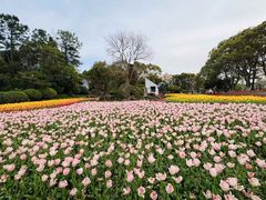 -上海鲜花港