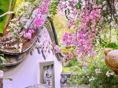 -深圳国际园林花卉博览园