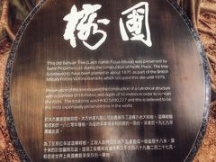 -太古广场