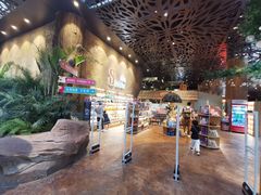 -杭州开元森泊度假乐园