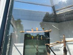 -上方山森林动物世界