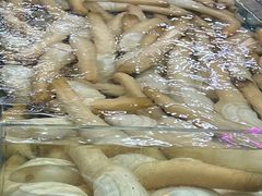 -华威西营里农产品批发市场