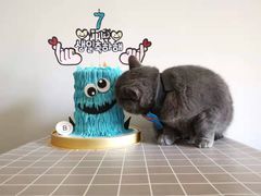 -Biteology Artisan Cakes(红庄·国际文化保税创新园店)