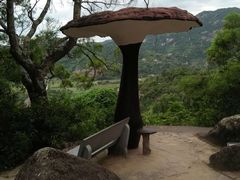 -青芝山风景名胜区