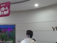 -雅悦齿科(顾村公园店)
