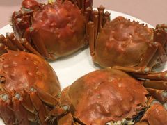 -王宝和酒家(黄浦店)