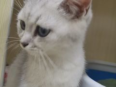 -佳雯宠物医院·皮肤科·内外科(春晓路分院)