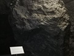 -抚顺煤矿博物馆