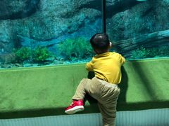 -福州罗源湾海洋世界旅游区