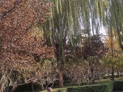 -德胜公园