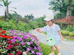 -东莞植物园