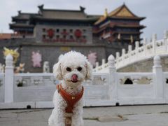 -大明幻境第一城