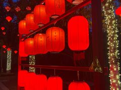 -武汉园博园(武汉自然博物馆)