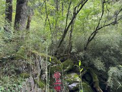 -神农架景区