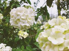 -杭州城北体育公园