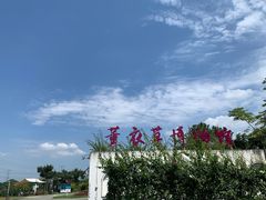 -紫颐香薰山谷景区