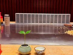 -赫·铁板烧·Omakase(望京昆泰嘉晟酒店)