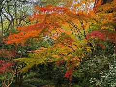 -中国茶叶博物馆(双峰馆区)
