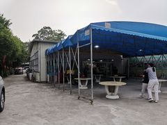 -鸿渡渔庄·特色鸭咀鱼