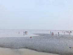 -南汇嘴观海公园