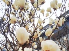 -首都图书馆-咖啡厅