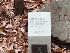 -沂蒙山旅游区龟蒙景区
