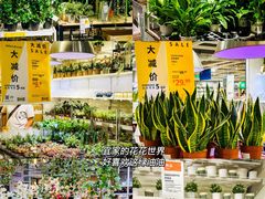 -宜家·瑞典风味餐厅(烟台路店)