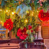 挖到了❗❗广州山茶花主题西餐