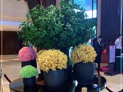 -长沙芙蓉国温德姆至尊豪廷大酒店 - 自助餐厅