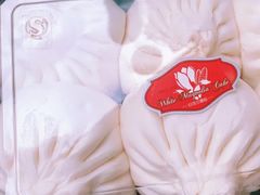 鲜肉小包子-白玉兰食品(甜云店)