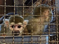 -成都浩海立方海洋公园