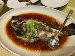-上海雅居乐万豪侯爵酒店·宴会厅