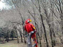 -哈尔滨北方森林动物园